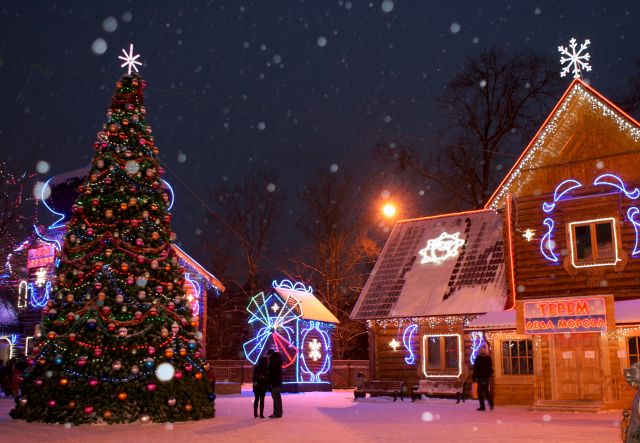 Усадьба Деда Мороза в Кузьминках - «Прочее»